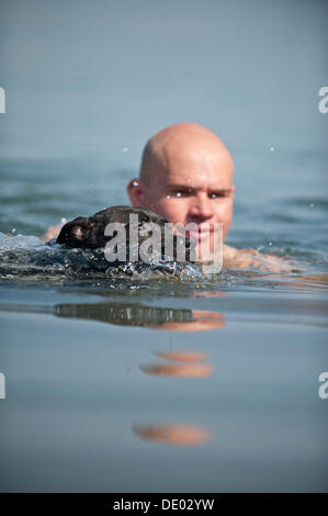 Un uomo e un cane a nuotare in un lago, Old English Staffordshire Bull Terrier Foto Stock