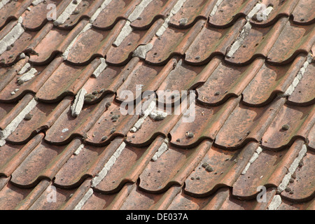 Mattonelle di tetto rosse Foto Stock