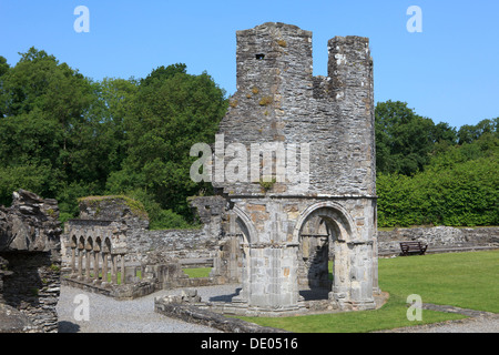 Il Lavabo di Mellifont Abbey in Irlanda Foto Stock