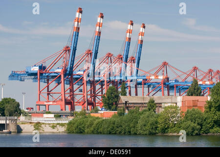 Contenitore Gantry cranes al Eurogate container terminal, Amburgo Foto Stock