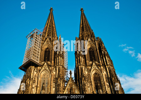 La facciata occidentale, twin-turrito anteriore della Cattedrale di Colonia con i ponteggi sospesi per le ristrutturazioni, Colonia, nella Renania settentrionale-Vestfalia Foto Stock