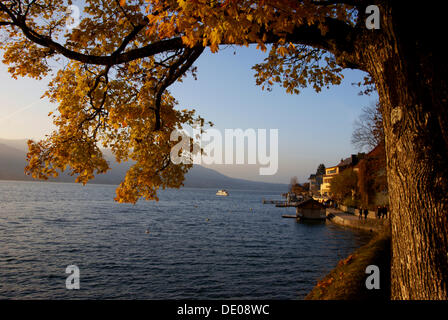 Strada sulla riva del lago, albero, autunno al lago Tegernsee, Bavaria Foto Stock