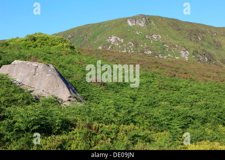 Wicklow Mountains in Irlanda Foto Stock