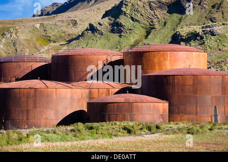 Olio di balena serbatoi presso la Ex stazione baleniera di Grytviken, King Edward Cove, Georgia del Sud e isole Sandwich australi Foto Stock