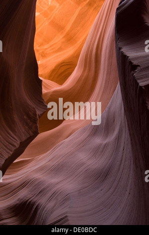 Incandescente eroso interno di abbassare Antelope Canyon Antelope Canyon parco tribale Navajo, Navajo Nation, Stati Uniti d'America Foto Stock