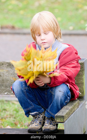 Un piccolo ragazzo la raccolta di foglie di autunno a grappolo Foto Stock