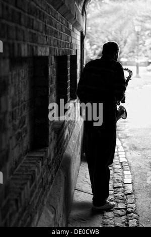 Un musicista di strada a Central Park di New York, Stati Uniti d'America Foto Stock