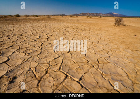 Il paesaggio del deserto del Danakil depressione Foto Stock