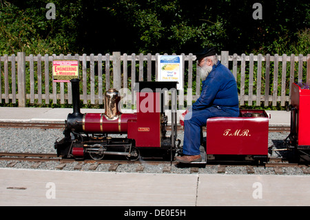 Legno Echills ferroviarie, Kingsbury Water Park, Warwickshire, Inghilterra, Regno Unito Foto Stock