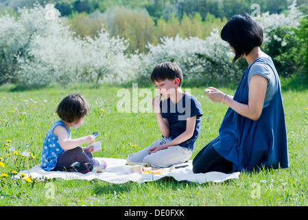 Madre e bambini aventi picnic in Prato Foto Stock