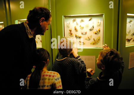 Padre con i bambini in insetti mostra nel Museo dell'uomo e la natura, Monaco di Baviera, Baviera, Baviera Foto Stock