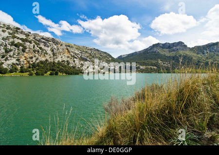 Gorg Blau lago d'acqua dolce, una diga, riserva naturale, Maiorca, isole Baleari, Spagna, Europa Foto Stock