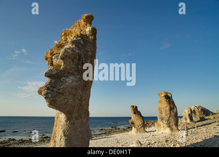 Rauks, colonne di pietra calcarea sull isola di Gotland Svezia, Scandinavia, Europa Foto Stock