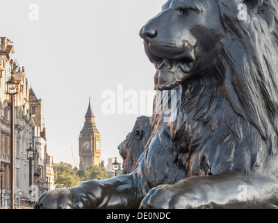 La Landseer Lions ai piedi della Colonna di Nelson, in Trafalgar Square con il Big Ben in background, London, Regno Unito Foto Stock