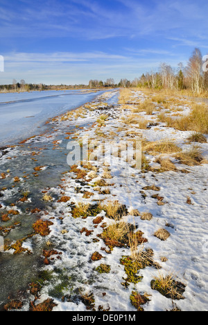 Moorland Congelato stagno in un ex torba area di taglio, vicino a Rosenheim, valle Inntal, Baviera Germania, Europa Foto Stock