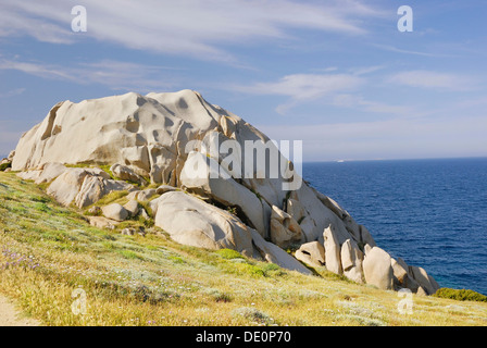 Monolito di granito a costa, circondato da fiori mediterranei, Capo Testa, Sardegna, Italia, Europa Foto Stock