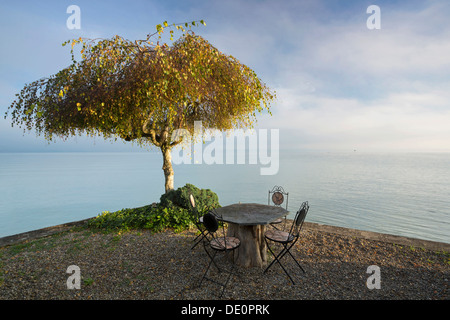 Mobili da giardino e un albero, mattina umore sul Lago di Costanza vicino a Landschlacht, Svizzera, Europa, PublicGround Foto Stock