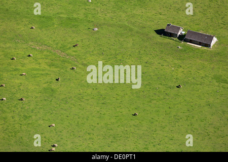 Vista la Seealp sul lago Seealpsee, vacche, Appenzell, Alpstein, Svizzera, Europa Foto Stock