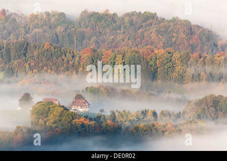 Alta nebbia in autunno a Rorschacherberg, Lago di Costanza, Svizzera, Europa Foto Stock