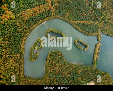 Vista aerea, isole del lago Kirchheller Heidesee, in autunno, Kirchhellen, Bottrop, la zona della Ruhr, Renania settentrionale-Vestfalia Foto Stock