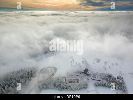 Vista aerea, il Monte Kahler Asten e Hochheide, brughiera, in inverno Foto Stock