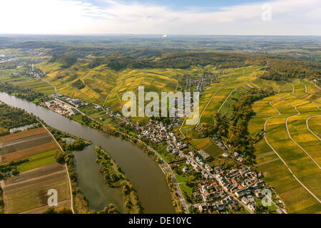 Vista aerea, vino della Moselle, Regione Valle della Mosella, vigneti di Schengen Foto Stock