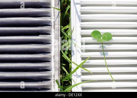 Sporco e veicoli puliti filtri aria con erba verde fascia tra di essi Foto Stock
