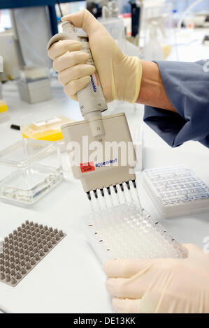 Laboratorio, il pipettaggio di campioni per analisi genetiche, genetica molecolare, Medizinsch Genetisches Zentrum, MGZ, Genetica Medica Foto Stock