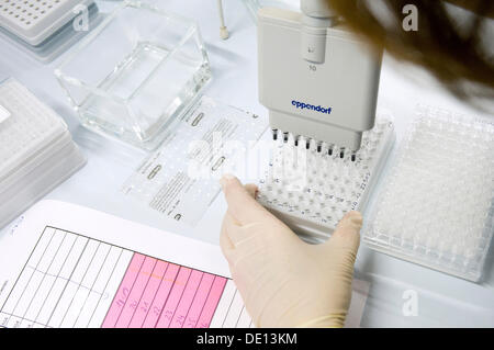 Laboratorio, il pipettaggio di campioni per analisi genetiche, genetica molecolare, Medizinsch Genetisches Zentrum, MGZ, Genetica Medica Foto Stock