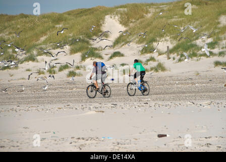 Due ciclisti di mountain bike sulla spiaggia, costa del Mare del Nord, Danimarca, Europa Foto Stock