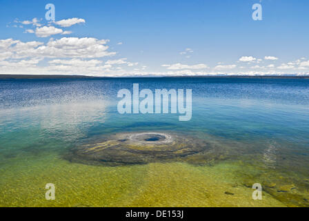 Cono di pesca, West Thumb Geyser Basin, Lago Yellowstone, il Parco Nazionale di Yellowstone, Wyoming USA Foto Stock