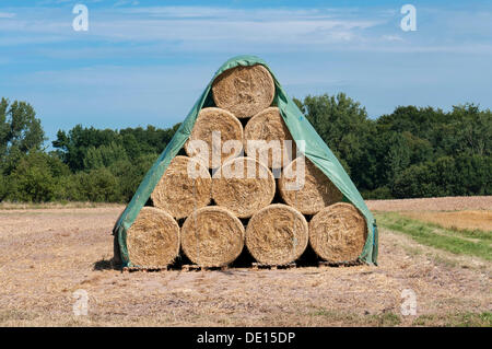 Pila di balle di paglia, rotoballe, Dreieich-Goetzenhain, Hesse Foto Stock