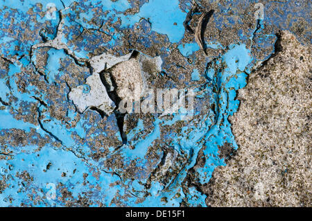 Parete in cemento con weathered vernice blu Foto Stock