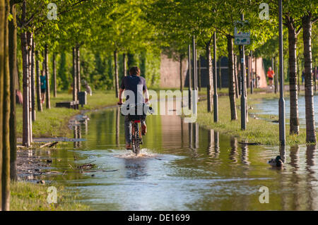 Ciclista sul lungomare allagato del fiume Main, Frankfurt am Main, Hesse, Germania Foto Stock