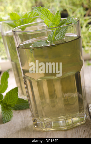 Tè alla menta in un bicchiere con la menta in background Foto Stock