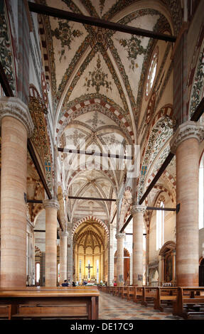 Basilica di Sant'Anastasia, navata, Verona, Veneto, Italia, Europa Foto Stock