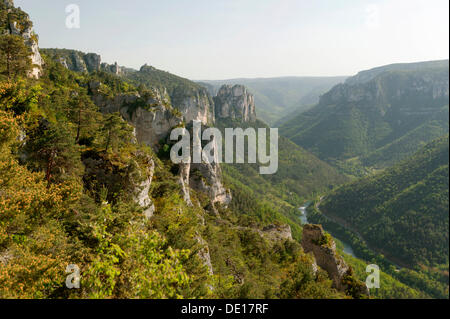 Gorges du Tarn, trail Gaupillat, Causses e Cévennes, Mediterraneo agro pastorale paesaggio culturale Foto Stock