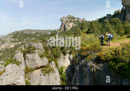 Gorges de la Jonte, Causses e Cévennes, Mediterraneo agro pastorale paesaggio culturale patrimonio mondiale dell'UNESCO, Lozere Foto Stock