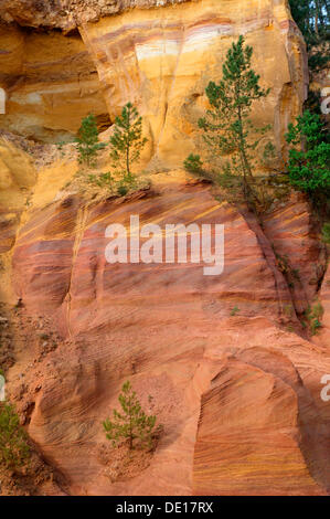 Rocce color ocra, Conservatorio di ocre e pigmenti applicati in Roussillon, ocra trail, cave di ocra, Luberon, Provenza, Vaucluse Foto Stock