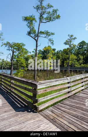 Exxon Mobile ecologico di Boardwalk e Dwight Harrigan Bayou conservare presso i Bellingrath Gardens in Mobile, Alabama, STATI UNITI D'AMERICA Foto Stock