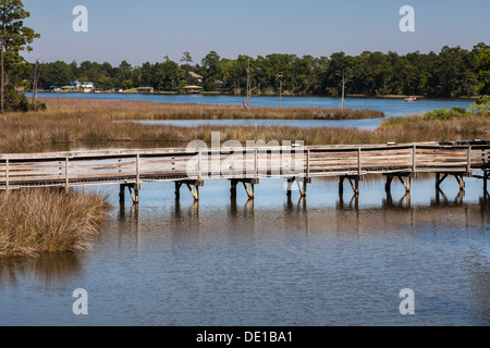 Exxon Mobile ecologico di Boardwalk e Dwight Harrigan Bayou conservare presso i Bellingrath Gardens in Mobile, Alabama, STATI UNITI D'AMERICA Foto Stock