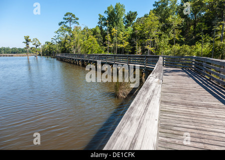 Exxon Mobile ecologico di Boardwalk e Dwight Harrigan Bayou conservare presso i Bellingrath Gardens in Mobile, Alabama, STATI UNITI D'AMERICA Foto Stock