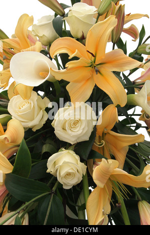 Bouquet di fiori sul chiaro sfondo bianco Foto Stock