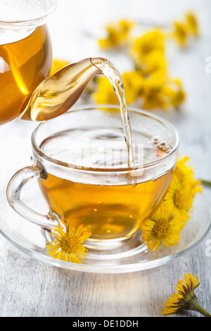 Il tè alle erbe con fiori coltsfoot Foto Stock