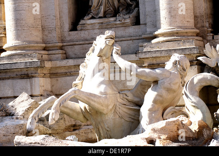 Dettaglio della fontana di Trevi a Roma con il runaway statua equestre che simboleggiano il mare agitato Foto Stock