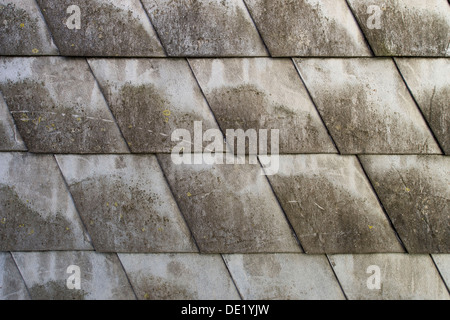 Casa con rivestimento di pannelli di fibre Pannelli di cemento, Austria Foto Stock