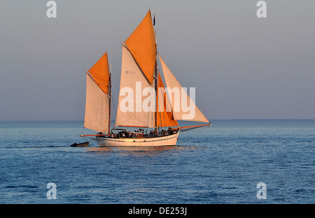 Etoile Molène (Dundee tonno, ketch, 1954, homeport : St Malo), la vecchia barca da pesca, lasciando il porto di pesca di Granville (Normandia) Foto Stock