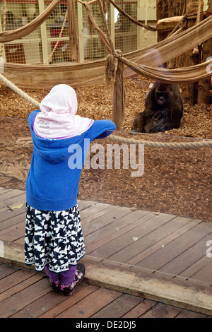 Un bambino arabo guardando un gorilla in ZSL London Zoo, Regents Park, London REGNO UNITO Foto Stock