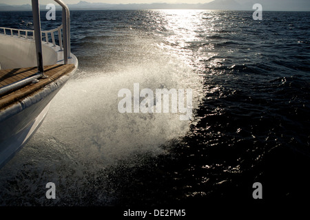 Spray diffondendo, barca diving in serata sole, mare rosso, Hurghada, Egitto, Africa Foto Stock