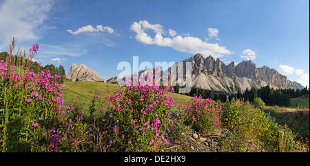 Vista panoramica come visto dalla cresta Wuerzjoch con il Aferer Geisler montagne e il Sass de Putia montagna all'indietro Foto Stock